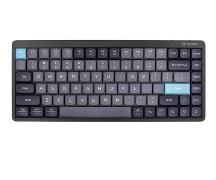 Klawiatura bezprzewodowa Tracer FINA 84 Blackcurrant
